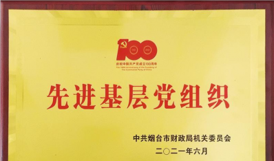 2021年先進基層黨組織